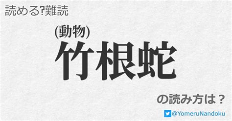 竹根蛇|「竹根蛇」の読み・意味・関連熟語